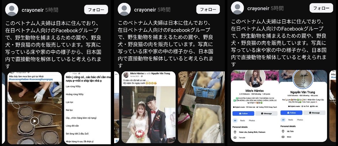 sorapiyo1111111's tweet photo. 《拡散希望》

【茨城県水戸市で密猟・違法販売疑惑】

ベトナム人夫婦とされる人物が、
野生動物や犬猫を捕獲するための罠や、
動物の肉を販売しているとの情報が拡散。

事実なら看過できない問題です！

行政には早急に実態を調査してほしい！ https://t.co/RvhUwL3fuL