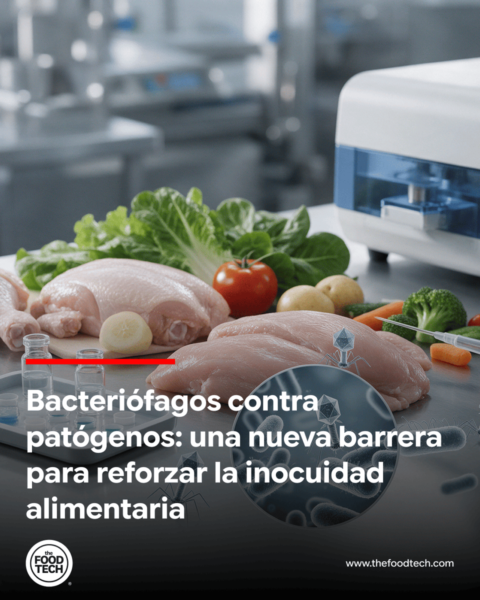ElFoodTech's tweet photo. 🦠🛡️Los bacteriófagos ganan atención como una herramienta de biocontrol para reforzar la inocuidad alimentaria, con potencial para reducir patógenos como Salmonella y Listeria en alimentos y superficies de procesamiento.

Conoce más 👉 https://t.co/veJW4BXFME

 #thefoodtech https://t.co/Vh83bvhg4E