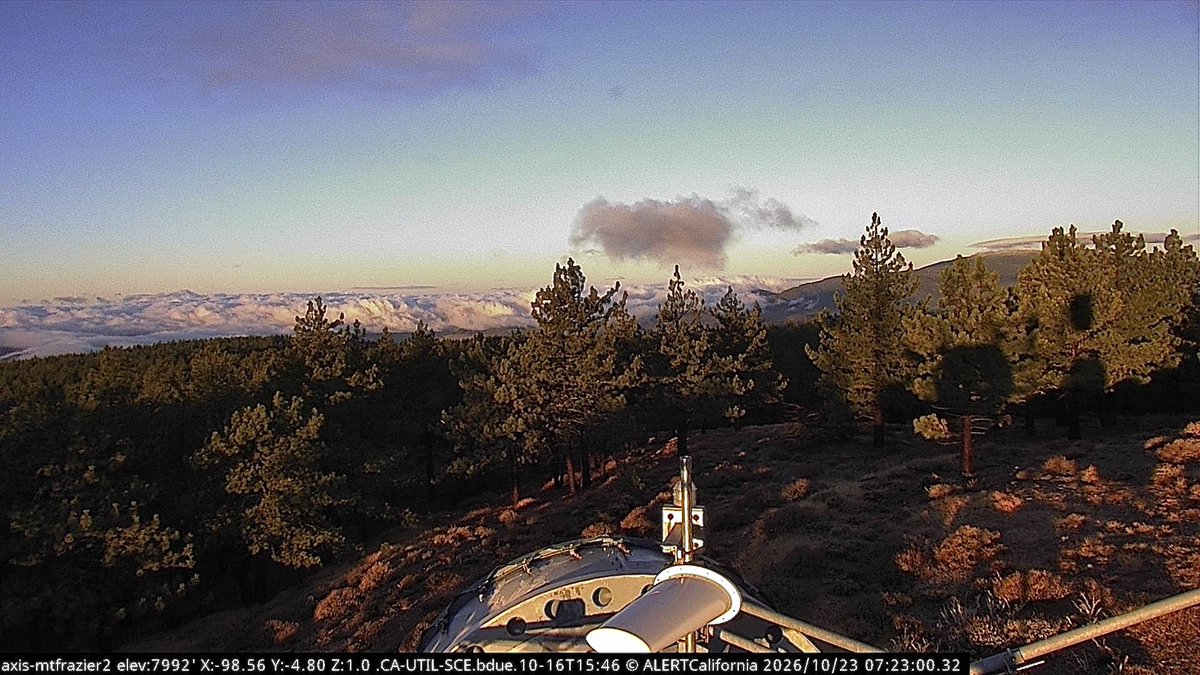 CaLandBird's tweet photo. 🌄 GOOD MORNING FROM FRAZIER MOUNTAIN! 🌲🩷

What a beautiful way to welcome Friday!

Golden morning sunlight spilling across the pine trees, soft pastel colors overhead, and a magnificent sea of clouds stretching across the distant mountains.

While the forest enjoys the morning sunshine, the lower elevations appear tucked beneath a blanket of clouds. ☁️💙

Sometimes the most beautiful moments are the quiet ones, just waiting for us to notice.

📷 Captured by the @ALERTCalifornia Frazier Mountain camera at 7:23 AM | October 23, 2026.

There is always something to discover, if we never stop looking. 🩷

Happy Friday from CaLandBird!

#CaLandBird #FrazierMountain #LosPadresNF #CAwx #California #FridayMorning #StayCurious