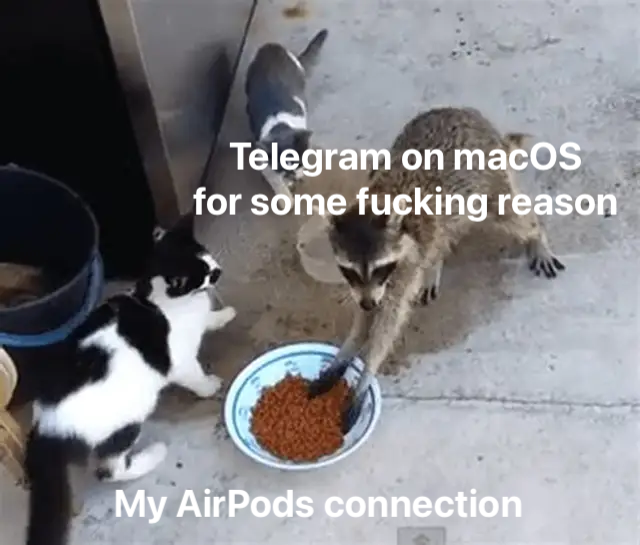 Denise_Hyena's tweet photo. Fuck you Pavlov https://t.co/KXlCOYjRir