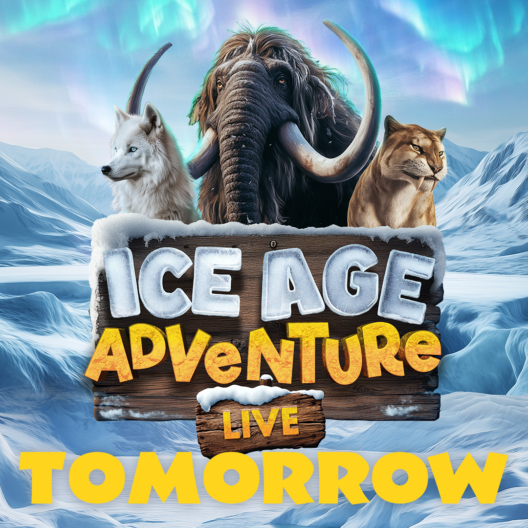 CamboTheatre's tweet photo. Ice Age Adventure Live!
25 October 2pm
Tickets: https://t.co/nzg1CY7Z6U
Brace yourselves for a mammoth mission in the frozen world of Ice Age Adventure Live! Journey back in time to meet incredible prehistoric animals in the coolest family show this side of the arctic circle! https://t.co/vct8mSil7g