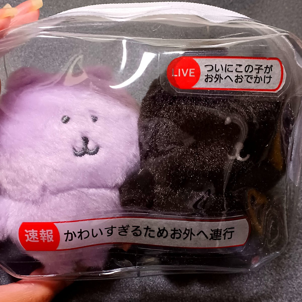 56_ahiru_51's tweet photo. @pawmipamomopa 笑笑

5回ぐらい失敗して最終的に薄く転写できたものに紙とテープ貼り付ける暴挙に出て失敗しましたw薄目で遠くから見れば可愛い…？ https://t.co/1QGmFMRHfR