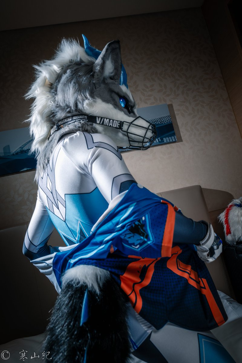 lingyuxuan1102's tweet photo. #FursuitFriday
现在是休息时间吧，怎么不敲门就进来了？。。。算了，我是英雄的事，不要跟别人说
📷@Cambrian_RW2 https://t.co/ekg4OlDySS