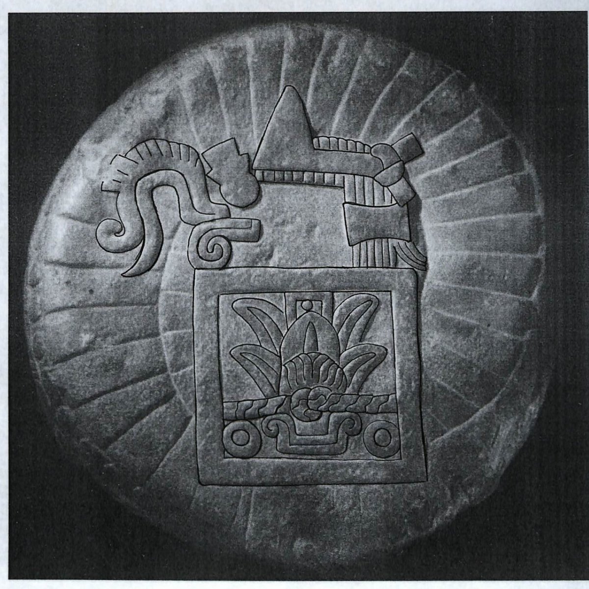 NgelUichilovos tweet picture