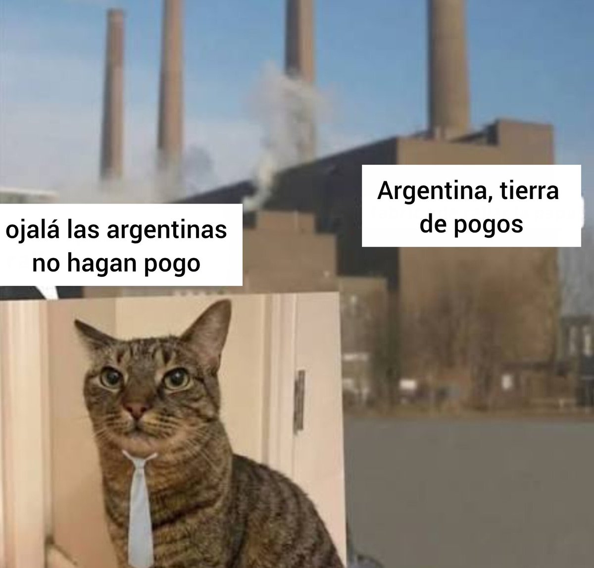 powerargenta tweet picture