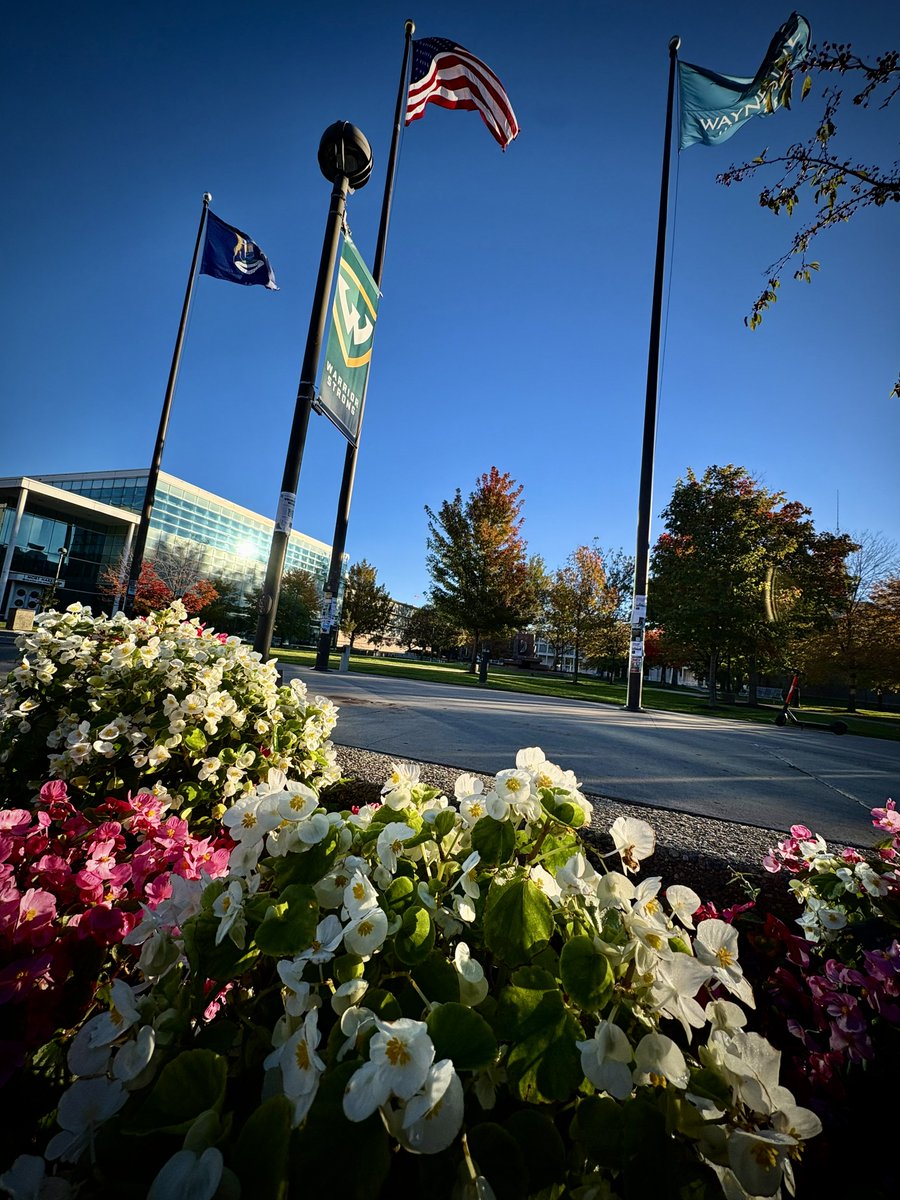 waynestate's tweet photo. "Good morning, Warriors!" 

#WSUSpotlight 📸: Julie Julison

Share your pics and videos via https://t.co/hZwpBjR8Ui. https://t.co/Yuz2ZRSWE7