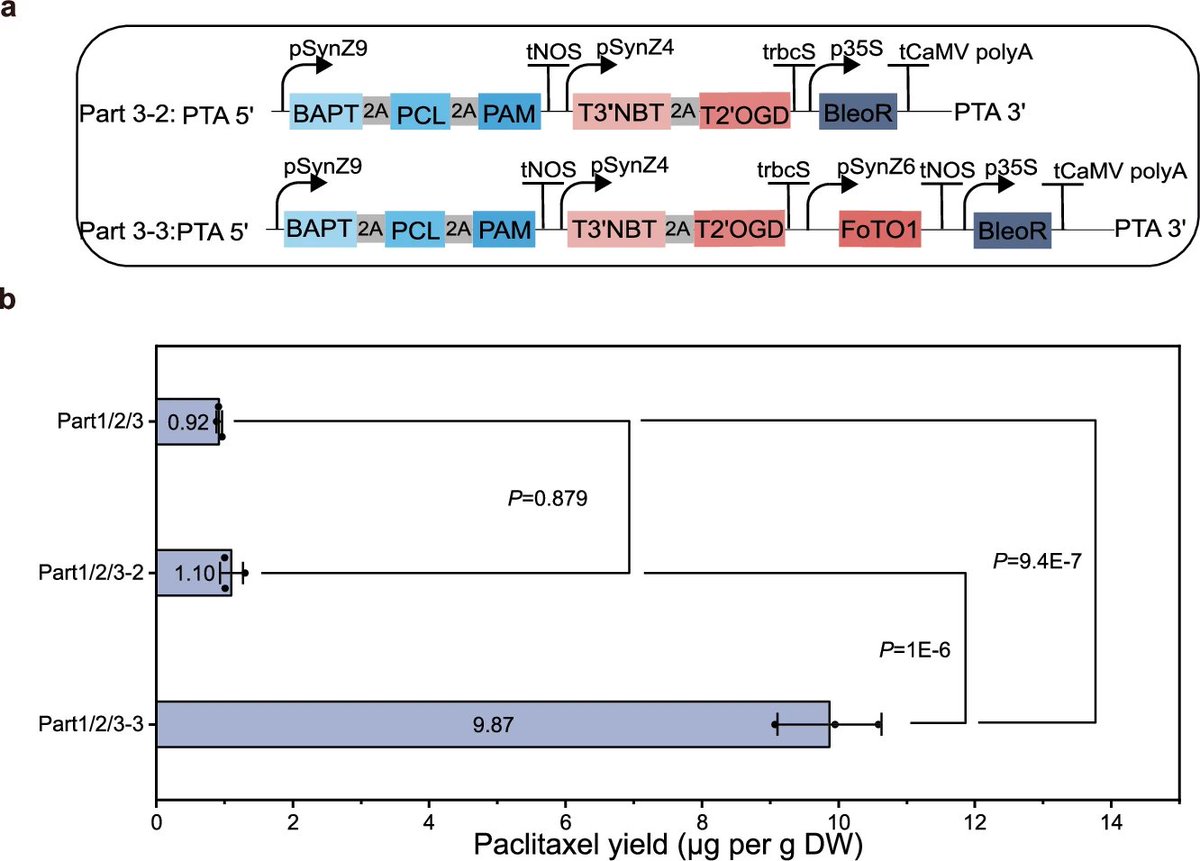 Ale_Raza6's tweet photo. #Optimization and detection of the #paclitaxel-engineered strain.
๐https://t.co/9UrLkln8Kz
#PlantScience #Moss #SyntheticBiology @Moon_Synth_Bio @CellAtlas @sci_plant @TrendsBiochem @ScienceNews @PlantEngMag @plant_met_engg @NatureComms @NaturePlants @CropGlobal @plantae_org https://t.co/p2PDjrc4w9