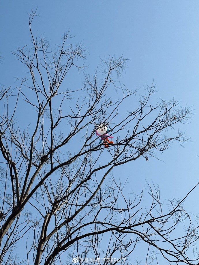 Atsukoyd1m's tweet photo. [ある日の公園、木の下に干された1枚の布団のそばに、青い風船がぽつんと転がっていた。] https://t.co/Nc7kiZ3WdT