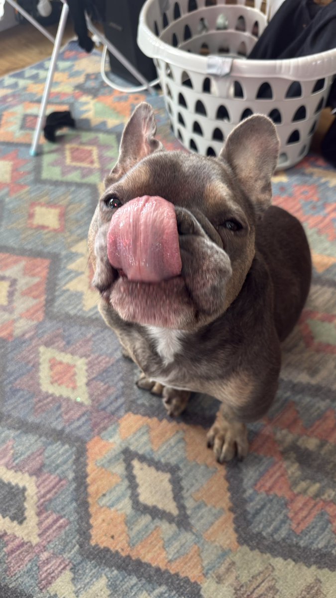 jasemonkey's tweet photo. Gizza kiss x https://t.co/Wir7b0NncY