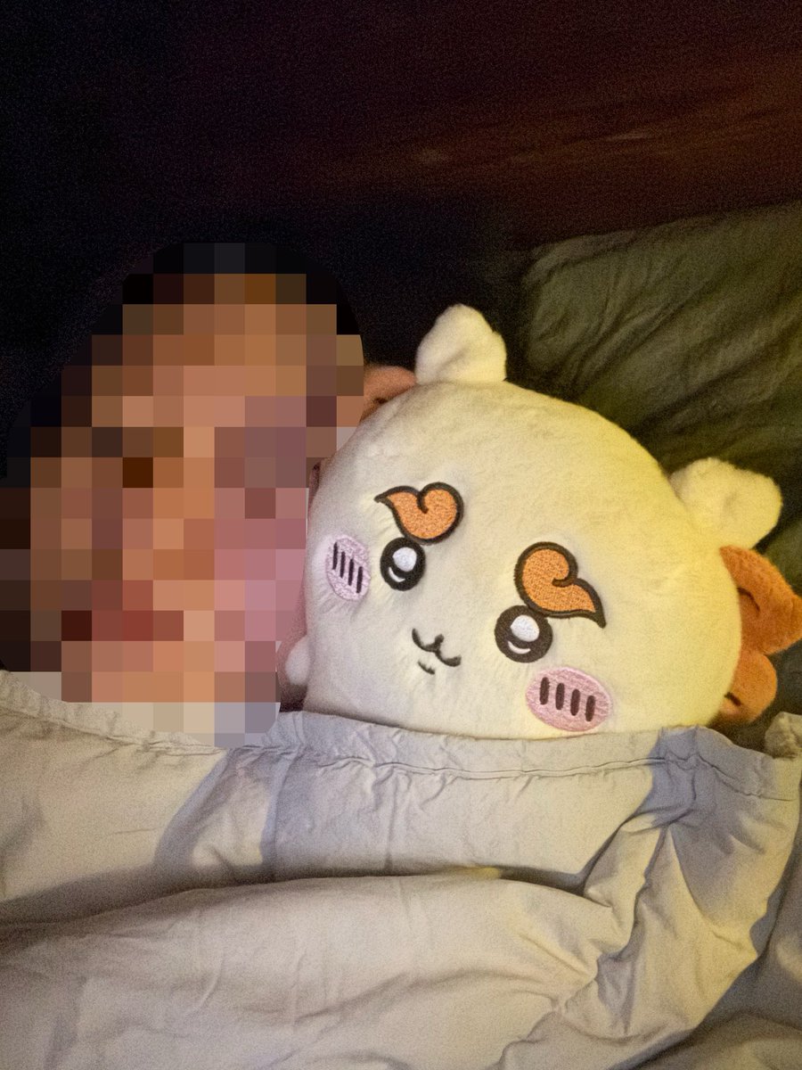 saltyg0m's tweet photo. 푸와코로 누이 제법 커서 같이 베개 베고 누울 수 있어요 완전 짱 https://t.co/pfwg4wjDkg