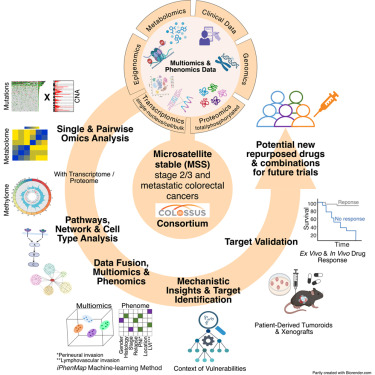 Cancer_Cell's tweet photo. Online Now: Multiomic characterization of microsatellite-stable colorectal cancer reveals distinct biology and targetable vulnerabilities dlvr.​it/TW2GQC https://t.co/mcp0e8nn60