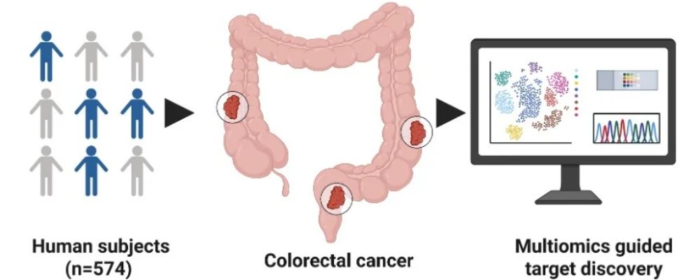 USFResearch's tweet photo. Researchers from USF Health and Tampa General Hospital have identified a key mechanism that helps metastatic colorectal cancer evade immune defenses, a discovery that could improve future cancer treatments. 🔬https://t.co/LSo3KqOdml @USFHealth @TGHCares https://t.co/2fWtKcxdZ2