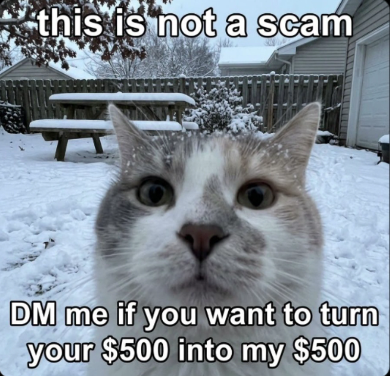 Milkee9825's tweet photo. #PayPay #Send https://t.co/ZLJJsFklM3