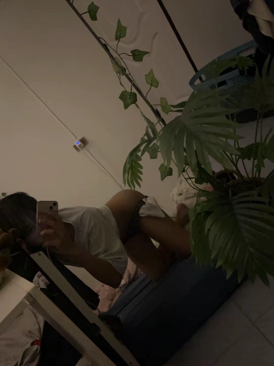 icesuuuuuu's tweet photo. https://t.co/CJA6WOHis0
