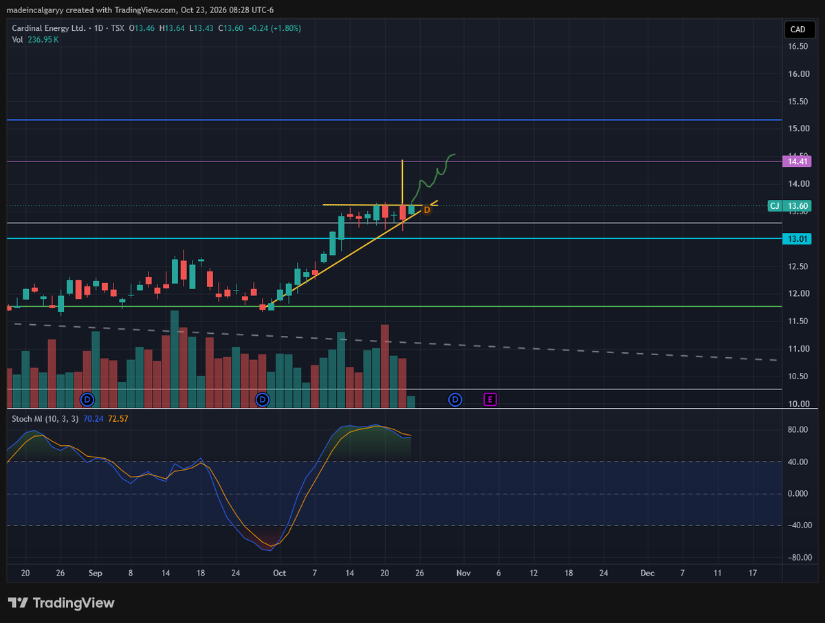 TheGamerr_'s tweet photo. $CJ.TO Cardinal Energy

Bullflag about to finish forming here,
When it does

Target: $14.41 https://t.co/T2upKPld1f