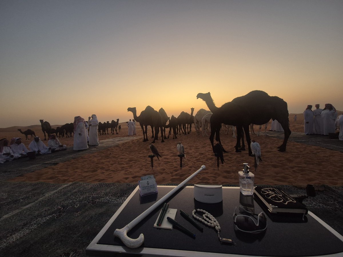 Alwaleed_Talal's tweet photo. صحراء🐪💚نجد🇸🇦💚 https://t.co/KrWYsazvuN