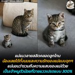 Photo by ตามติดชีวิตAnimal (@AnimalFW_TH)
