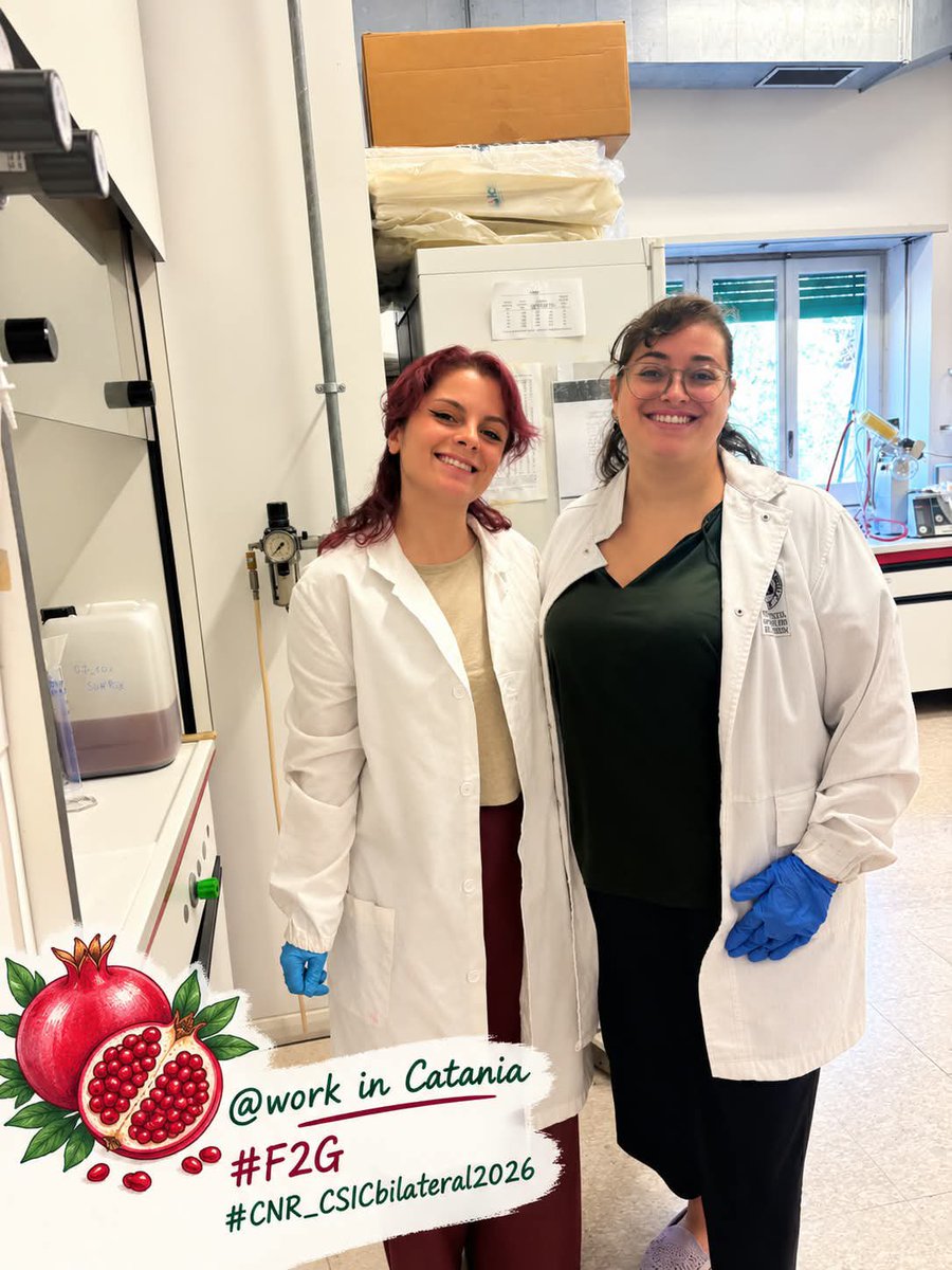 NutriBioMet_Lab's tweet photo. Carolina López Sánchez is doing s short research stay at the University  of Catania (Italy) within the bilateral action CSIC-CNR. @CEBAS_CSIC https://t.co/uliftNbMlt