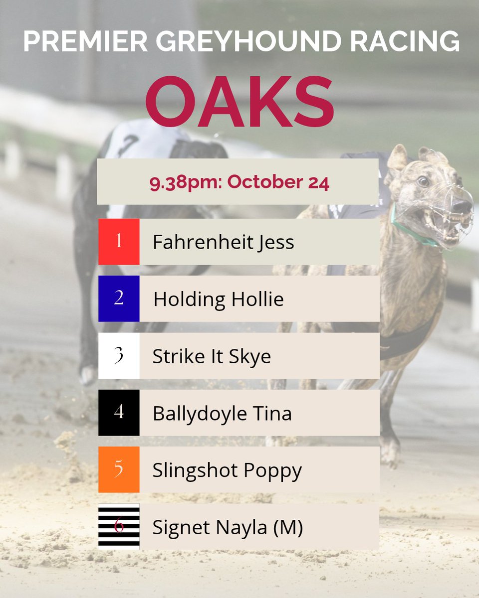 DunstallDogs's tweet photo. Doors open in FOUR hours for the 2026 @PremGreyRacing Oaks finals night ⏳

It's time to share with us your prediction of who you think will win the big race.

Let us know your selection and reasons why in the comments 👇

#DunstallPark 🐾 https://t.co/TyJPQEtpAM