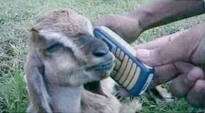 Murume2580 tweet picture