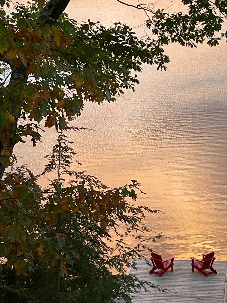 LASwann07's tweet photo. 🍂
i imagine growing older with you https://t.co/6C67GGypCf