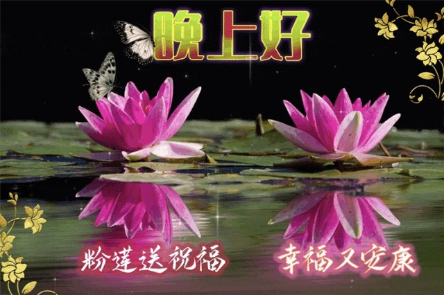 L8916664768625's tweet photo. https://t.co/YoY2P7xdPl