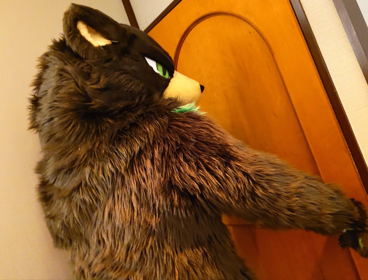 B10bornondream's tweet photo. To the next

#VindarsJourney
#FursuitFriday https://t.co/fvNrRjZYd6