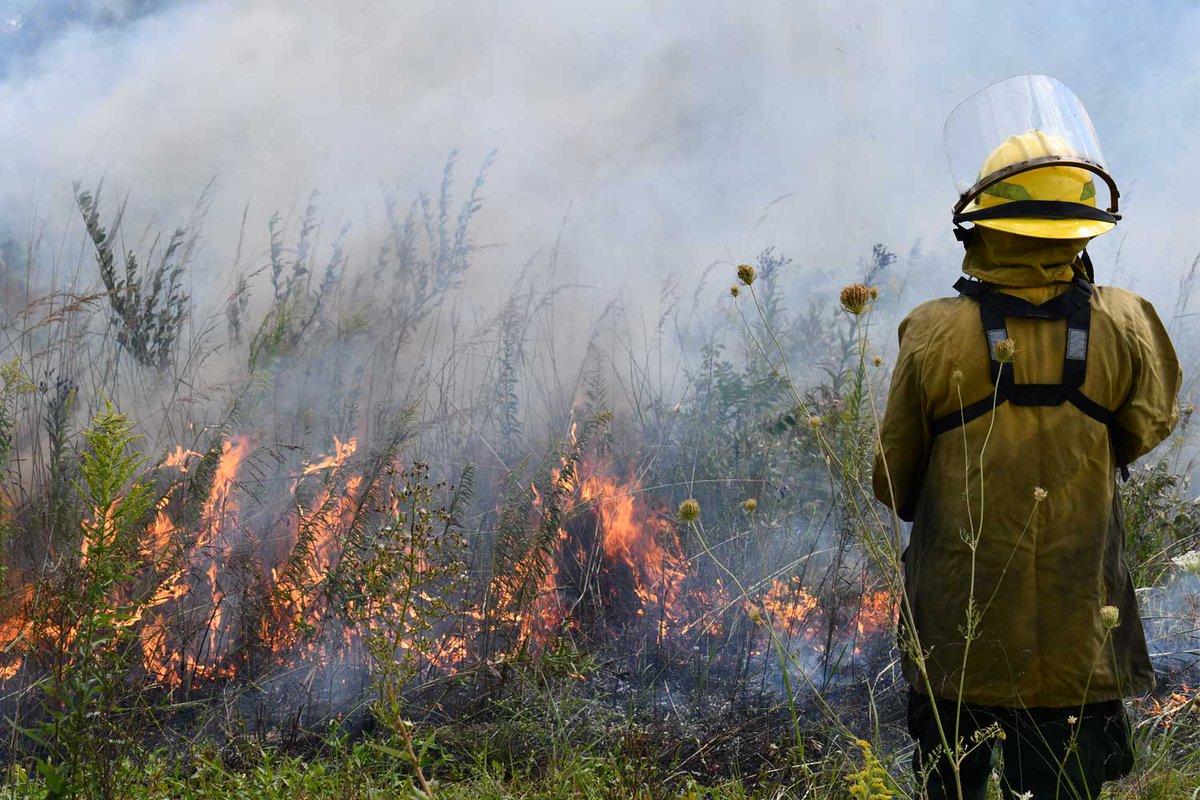 WillCoForests's tweet photo. Get text, phone or email alerts about prescribed burns near you! Sign up through Will County Smart911 and opt in to “Will County Forest Preserve Controlled Burn Alerts.”
📸: Anthony Schalk
#WillCoForests #PrescribedBurns #Notifications https://t.co/WRTMI4ZY3K