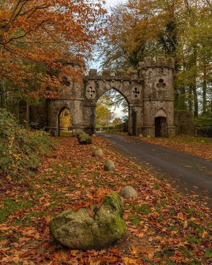 LadySeraphym's tweet photo. Ɠօօժ ąƒէҽɾղօօղ. ༄˖°.🍂.ೃ࿔*:･
#NatureBeauty 
📸 - Pinterest https://t.co/3MSmcodhMV