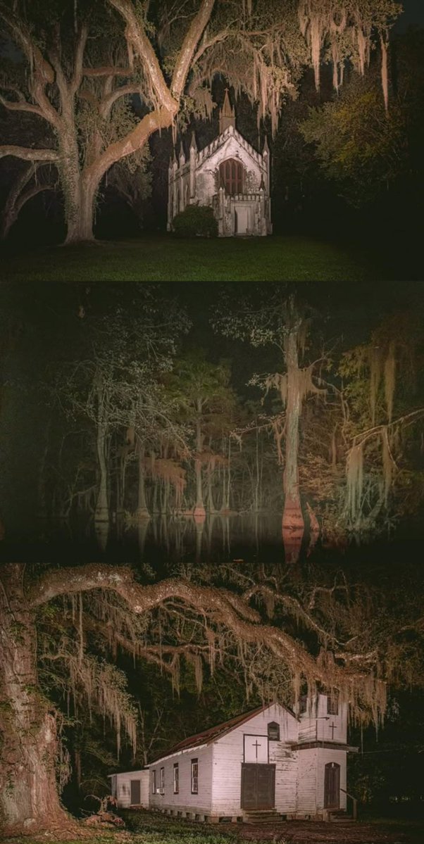 Nacao_DC's tweet photo. O diretor James Mangold falou que "Monstro do Pântano" será um filme de terror gótico e essa é a melhor escolha possível. https://t.co/AxwdoPHcp8