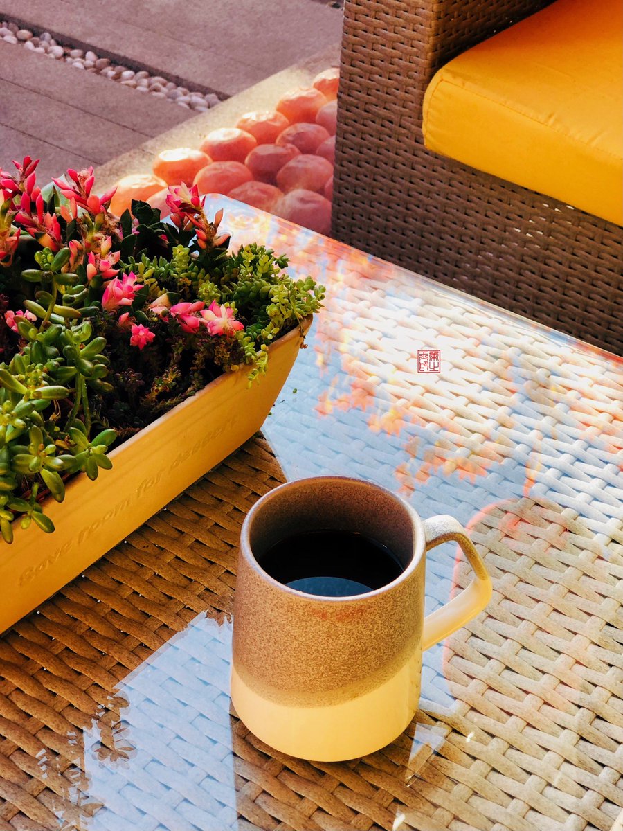 0904_kayo's tweet photo. 覆い毡で蔚しい秋の風を感じながら、コーヒーを一杯。 https://t.co/8UirHmLbik