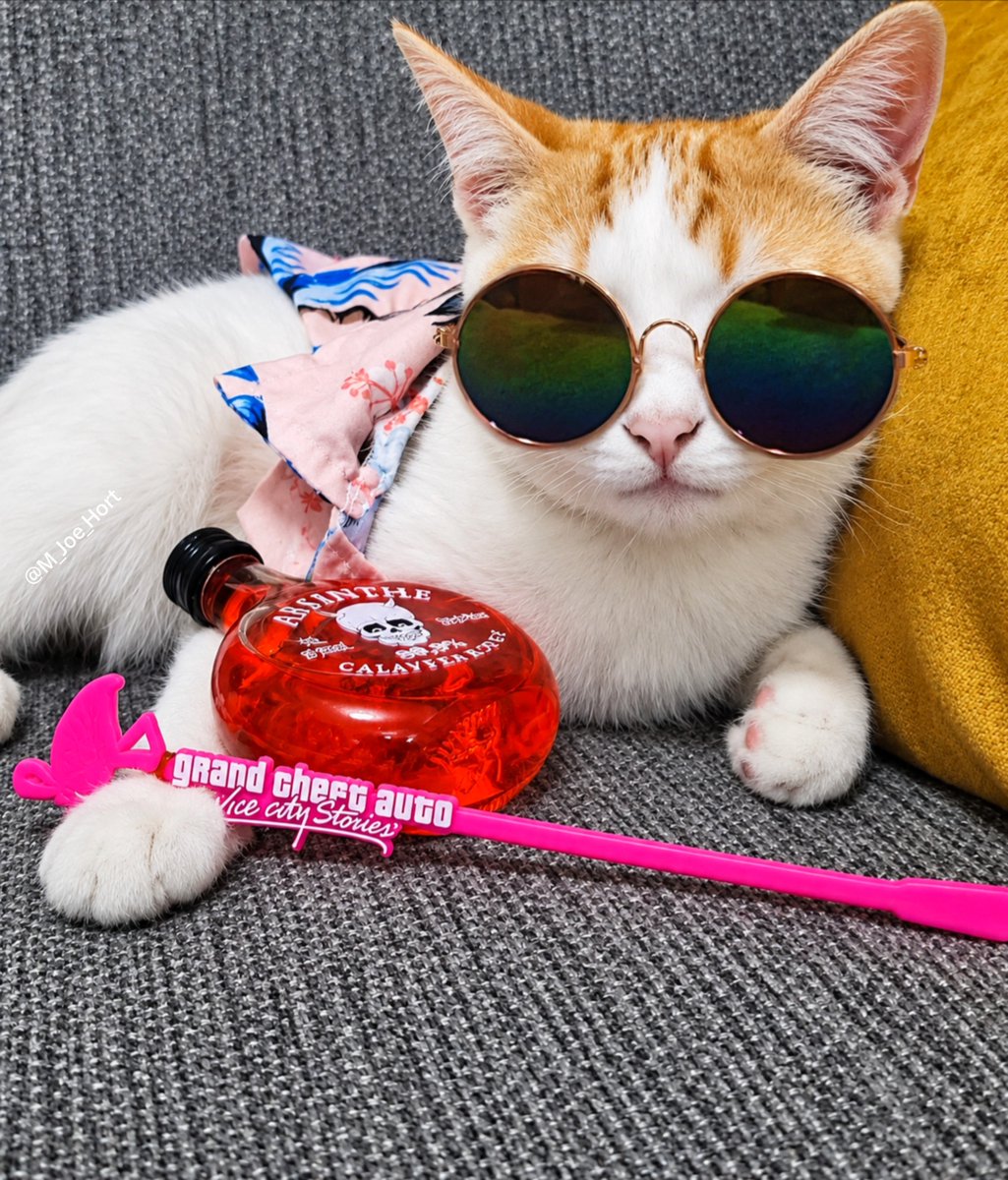 M_Joe_Hort's tweet photo. Vice Kitty 🐾 

He doesn’t steal cars, he steals your heart 💗 #ViceCity @RockstarGames https://t.co/xn6uSsGK48