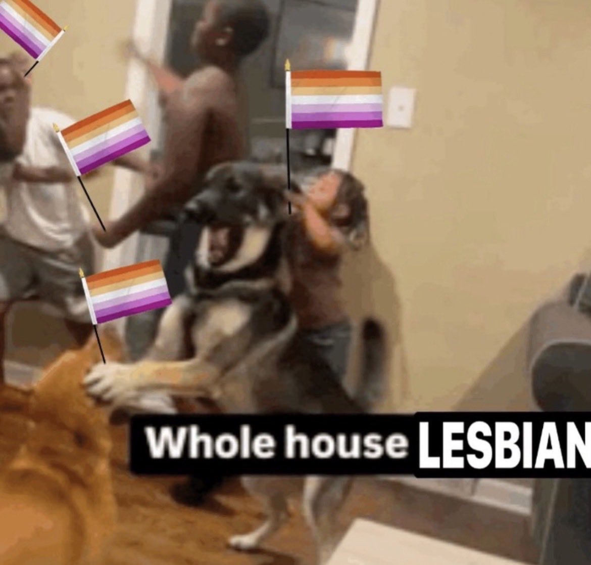 yuriutena's tweet photo. I love women, I love yuri, I love gl, I love lesbians, I love sapphics, I love lesbian movies and everything lesbian https://t.co/JsH807Bgqn