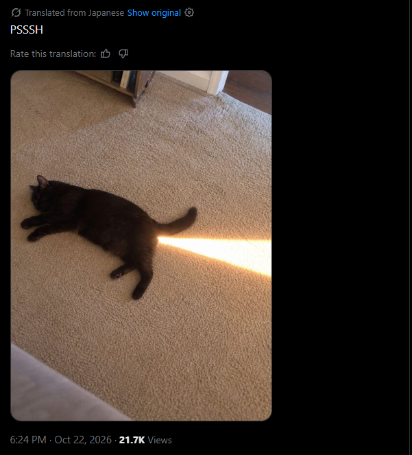 Kirodev7's tweet photo. Just found the next animal meme trend.

It started with a cat lying in a beam of sunlight that makes it look like a flying rocket.

Now everyone is making their own versions with their pets, turning them into rockets.

The meme is called PSSSH.
https://t.co/BdHJWJY6Sj https://t.co/jM6kjzrGse