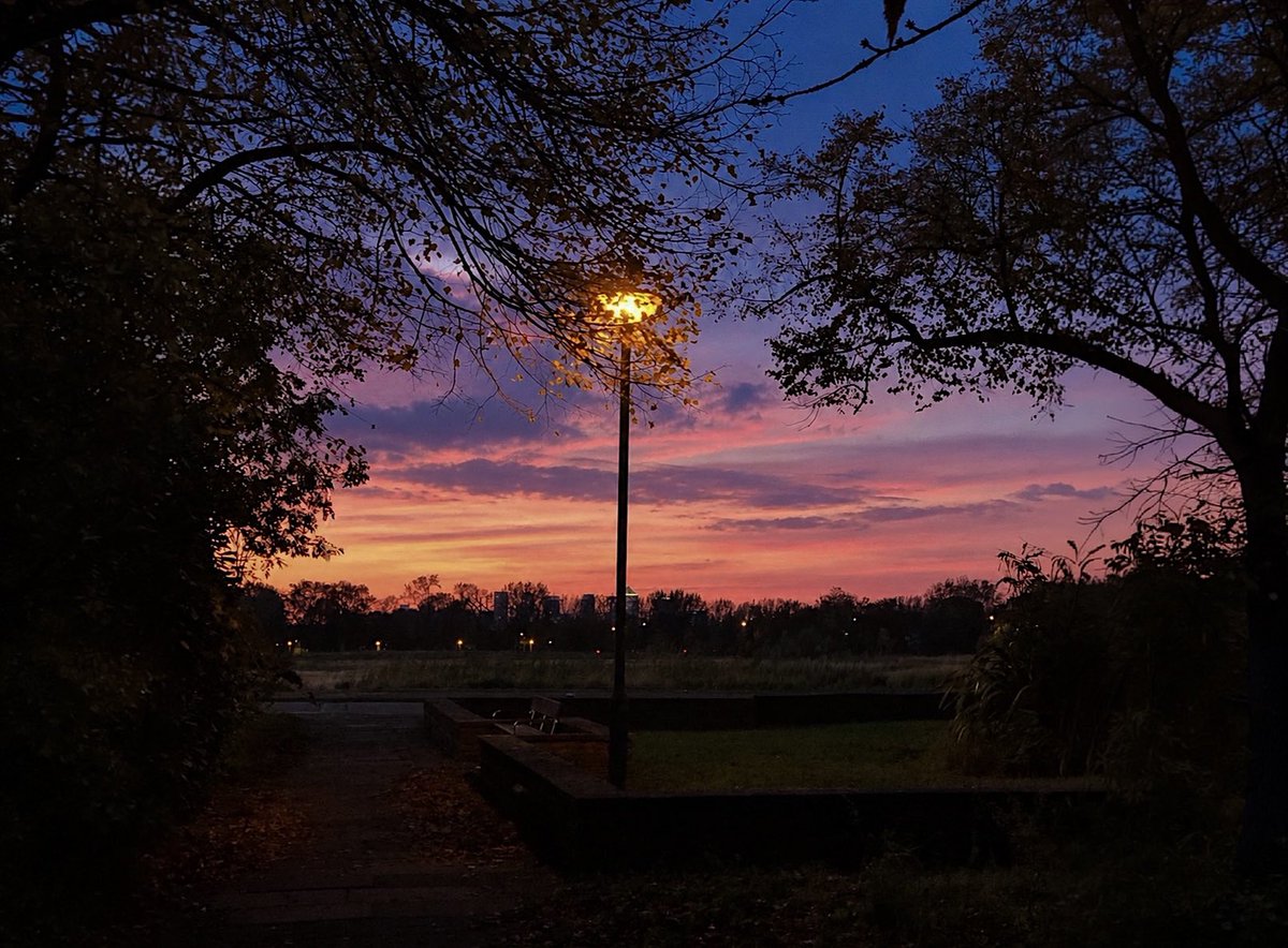 vk_soma's tweet photo. Some paths lead to beautiful endings https://t.co/7bEZYwv76b