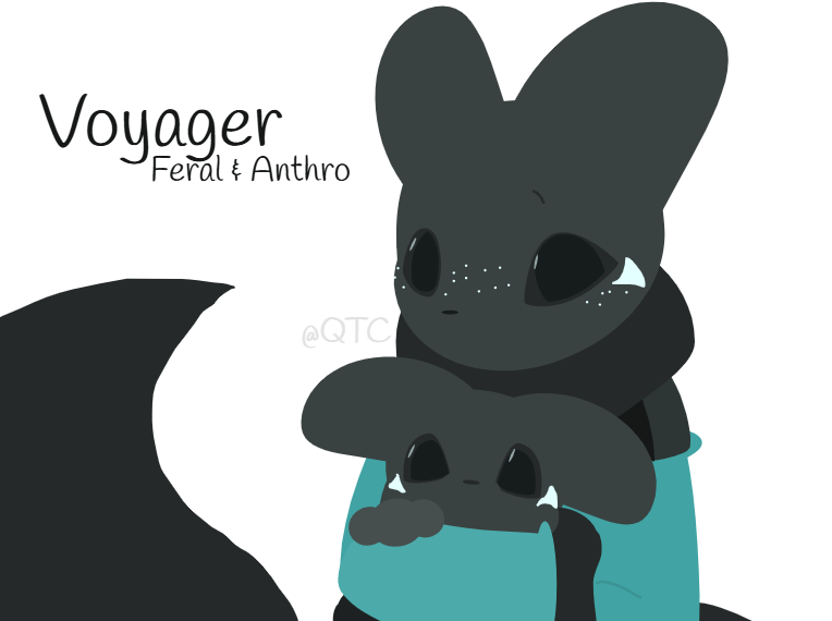 QuasarTcat's tweet photo. Made a small showcase of the differences between Feral and Anthro Voyager, I do hope to make more in depth ref sheets for both of them
#Rainworld https://t.co/of9z8JiV1j