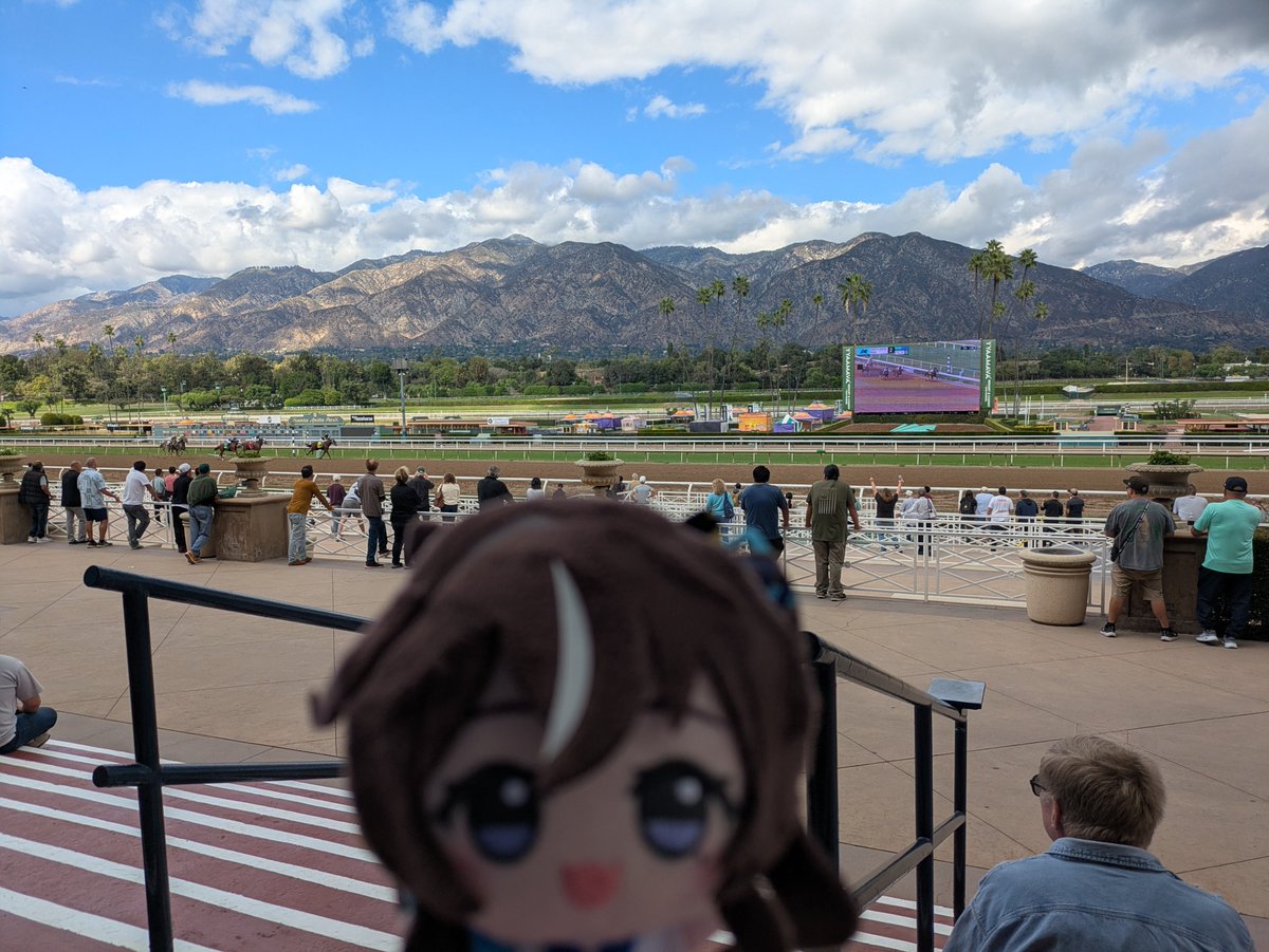 Aztea_'s tweet photo. vivlos at santa anita park https://t.co/bRQhPoMkZH