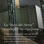Photo by José Luis Arce (@arcejose)