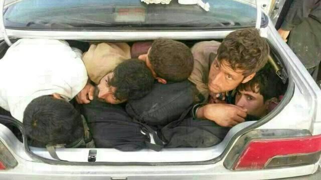 _Pazhuhan_'s tweet photo. @kartalmatrix @79j18d ضمناً پوریا پورسرخ که عکسشو گذاشتی واسه مرد ایرانی با اینکه ۵۰ سالشه از جفتشون خوش تیپ تر و مردونه تره اکثر نرهای افغونی قیافه که ندارن به کنار پشکلن کوتوله و استخوانی اینگار سو تغذیه دارن https://t.co/pxyYekqLeZ
