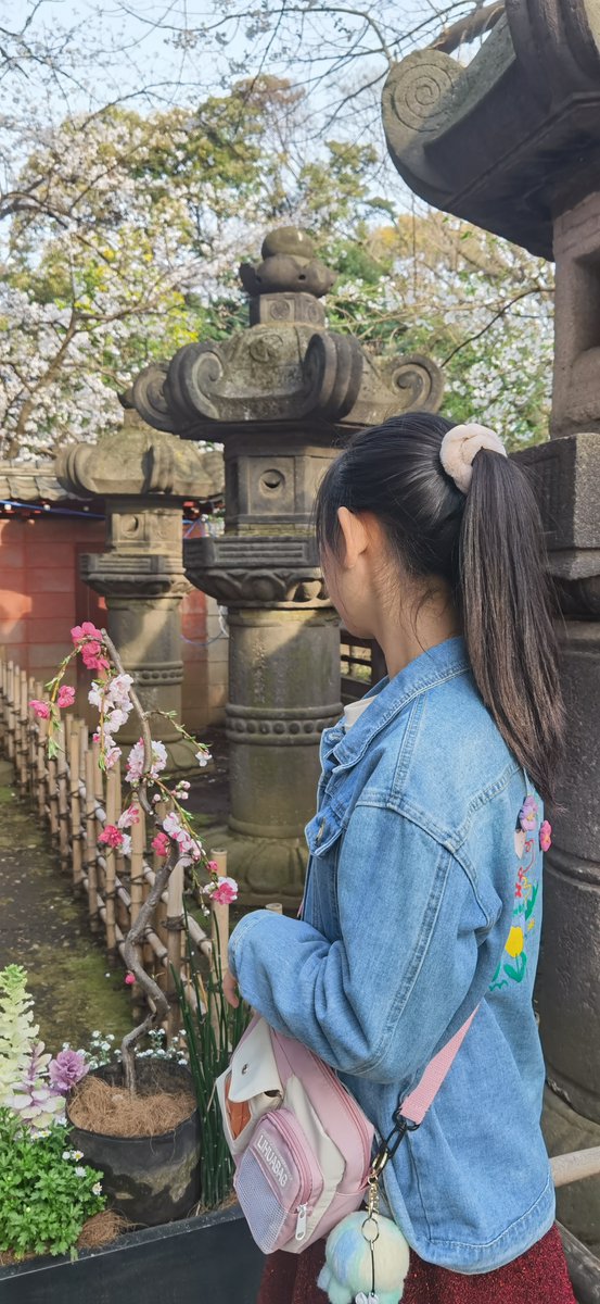 aikona57's tweet photo. [辽蔚赫乃]の明るい未来を感じる、今日の風景 （りょういきあきないのあかるいみらいをかんじる、きょうのふうけい）， https://t.co/vwFEugmeDY