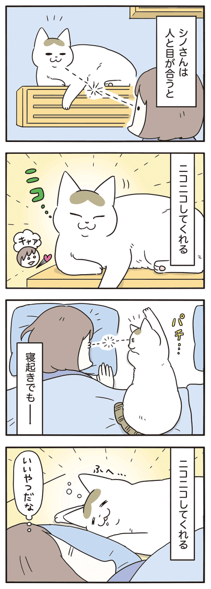 tongarirooms's tweet photo. ニコニコしてくれる猫🐱 https://t.co/fcITfal2JK