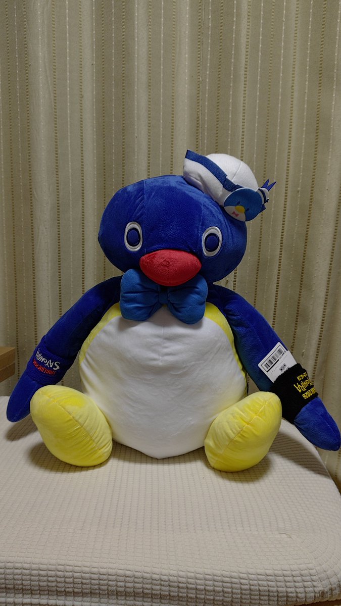 yosshy_d's tweet photo. 今日はSS席、5列目の見切れ席？みたいな席でしたが、そこそこ近くて双眼鏡でとってもよく見えました(*´∀｀*)

有明ガーデンのクレーンゲームでピングー取れてしまって座席に座らせていました。

真天地開闢集団-ジグザグ楽しかったな、コンコンコンって(´∀｀)

Adoちゃん見たかったな〜( ˘ω˘ ) https://t.co/NssCJ4eEh1