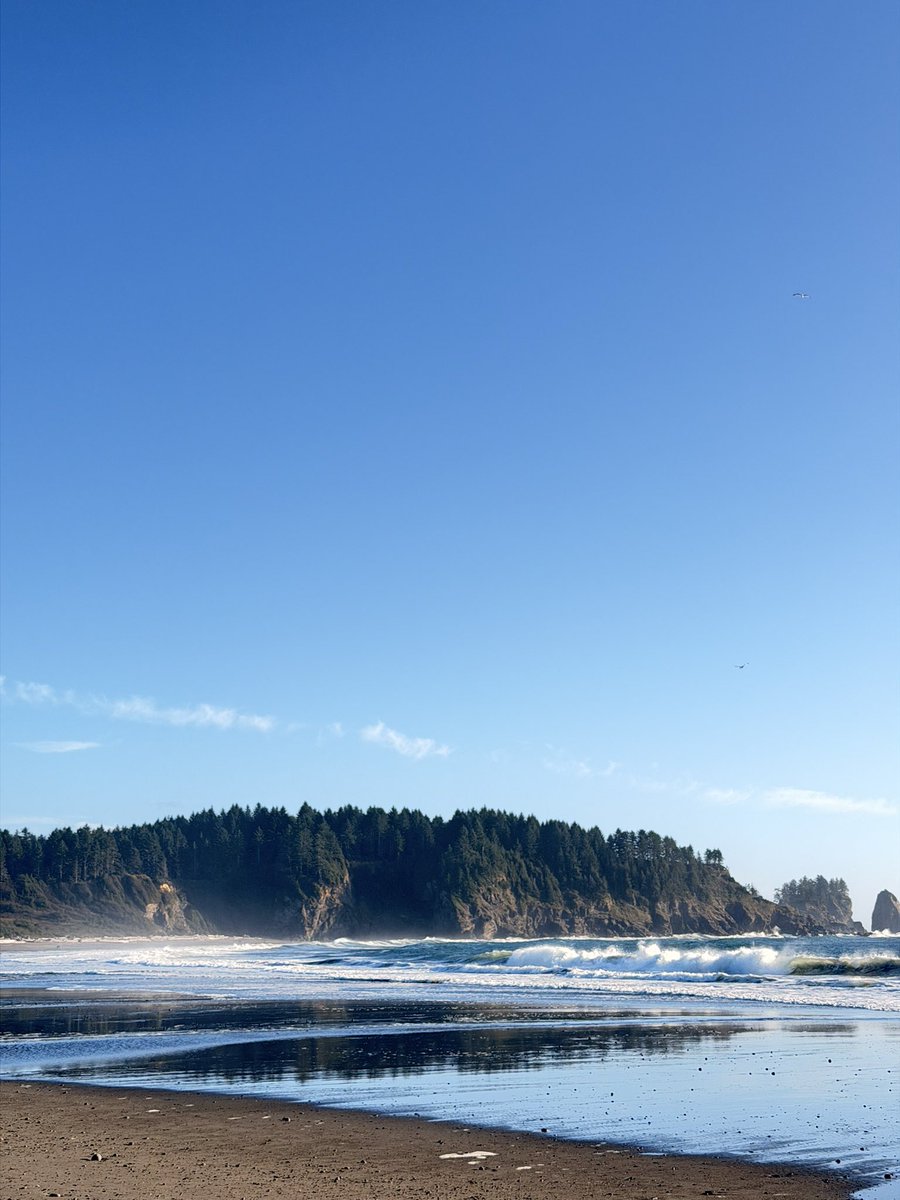 FeeWithFangs's tweet photo. La push <3 https://t.co/5MM1Q5lYqz
