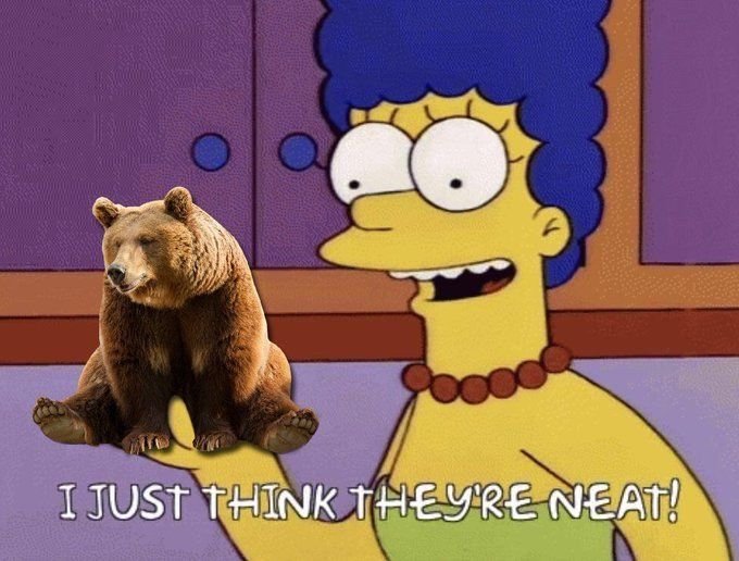 Bear1nCrisis's tweet photo. https://t.co/28CHGVitq8