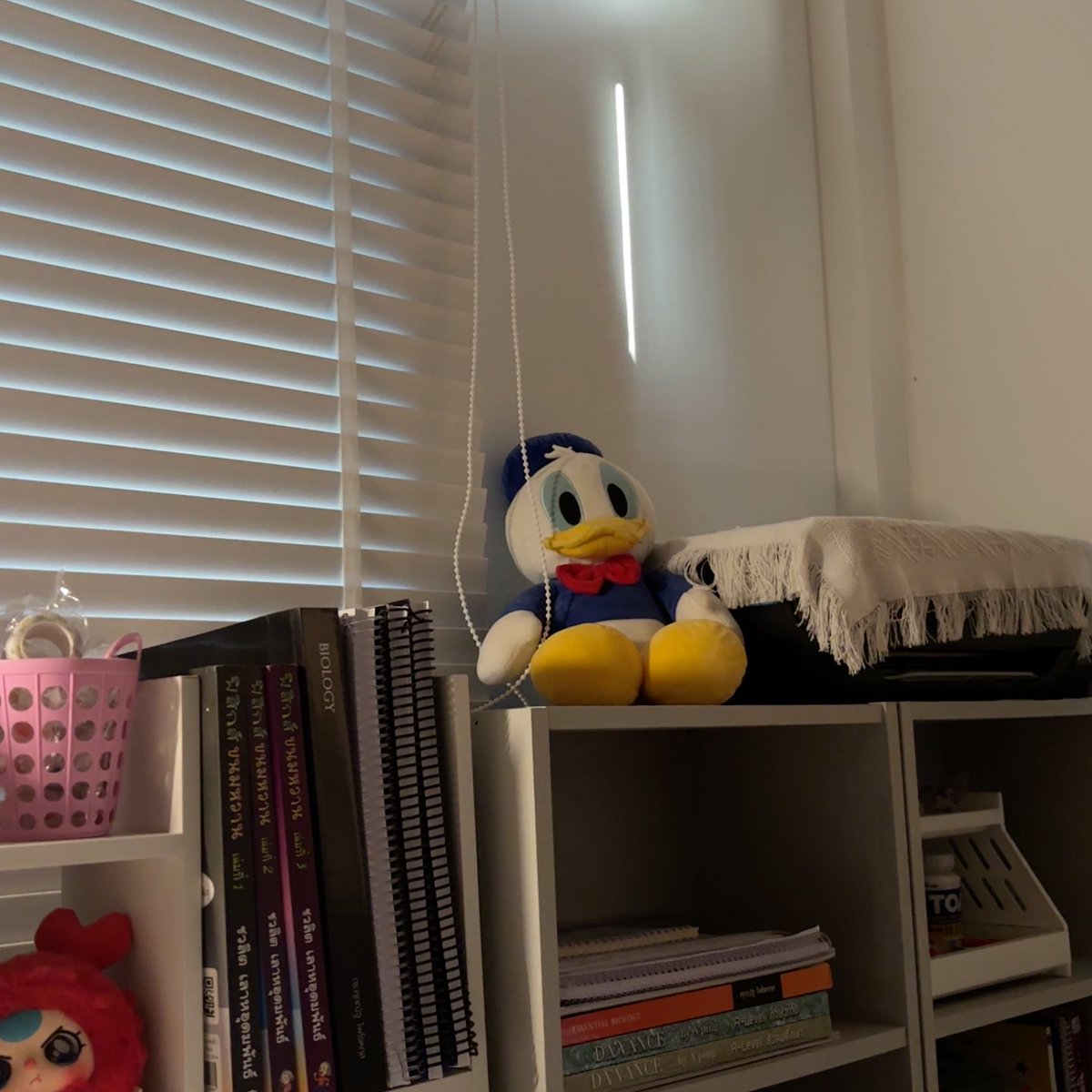 uglyduckling_71 tweet picture