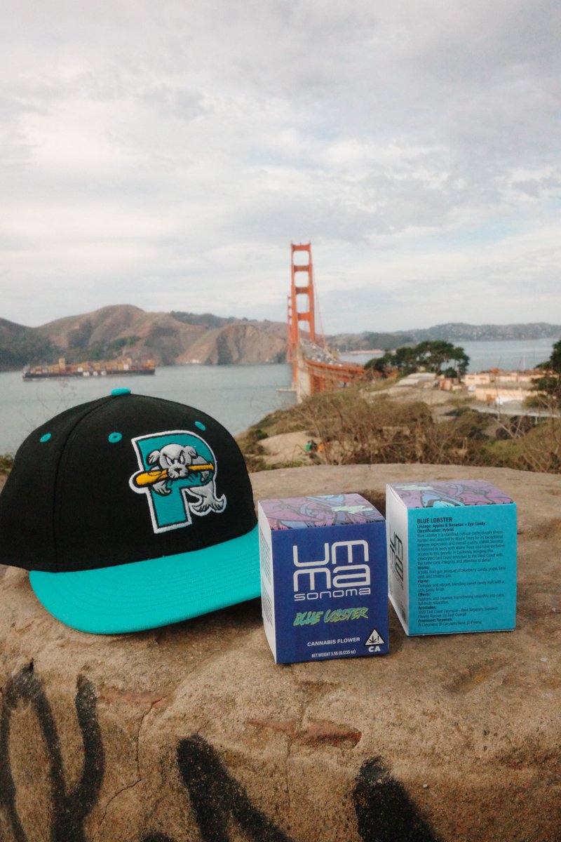 mainetrees's tweet photo. Cali don’t sleep! 

@ummasonoma https://t.co/rG8FdtifhQ
