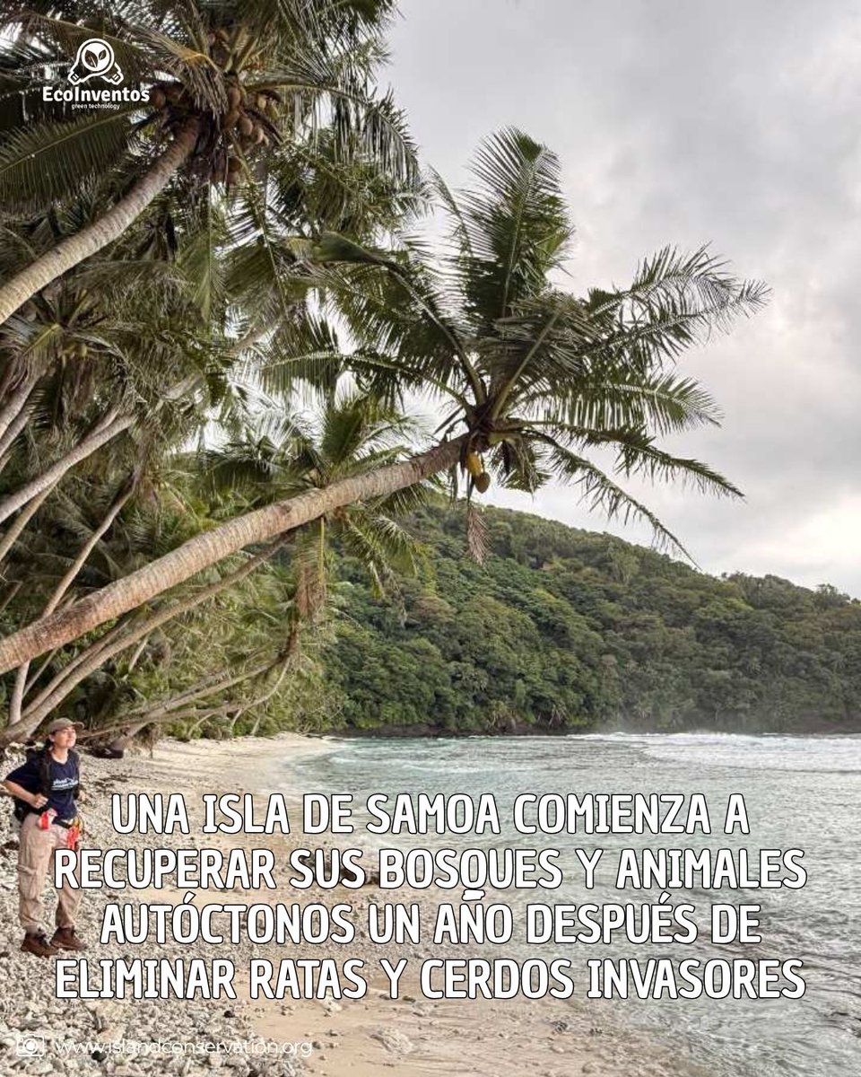 EcoInventos tweet picture