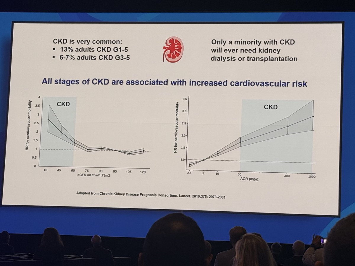kidney_boy's tweet photo. Most people with CKD don't make it to dialysis. They die of CVD. https://t.co/Ey5t3ztSLw