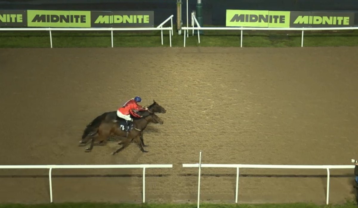 PaddockToPocket's tweet photo. JAHAMI WINS 🥇 

MAX BET LANDS FOR MEMBERS 🔥 https://t.co/x3Ef7SZLsd