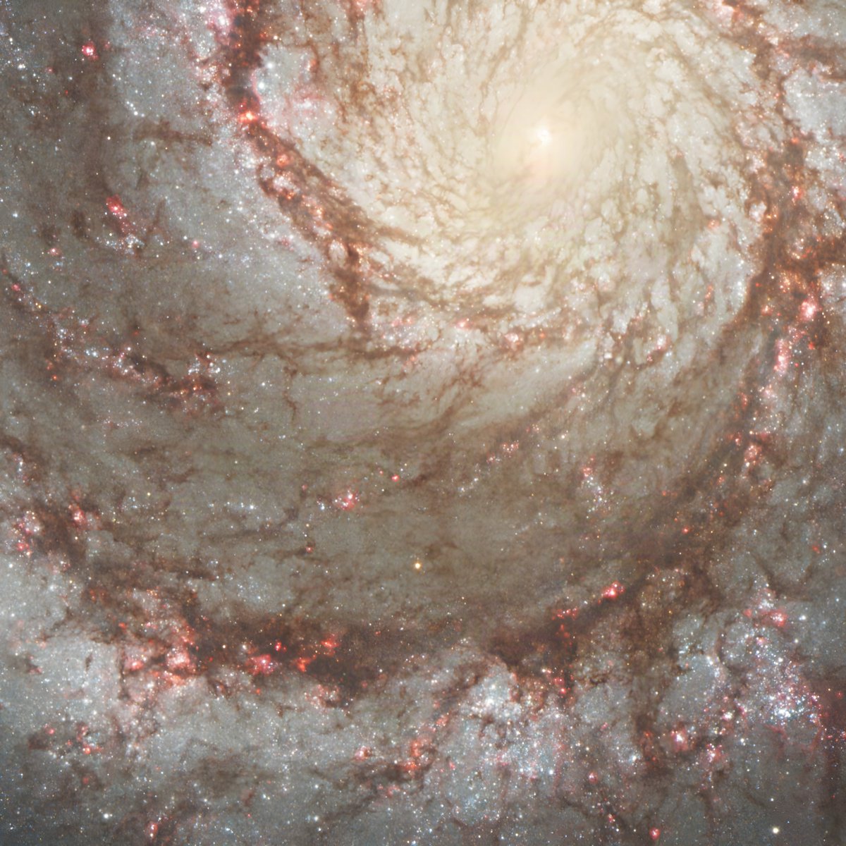 XmxHowes's tweet photo. Available here https://t.co/7cQ7vechxS

#wallart #wallartforsale #gifts #giftideas #space #doomedStar #Explodes #supernova #NASA #hubbleSpacetelescope #astronomy #dust #stars #cosmic #universe #celestial #homedecor #galaxy #spiral https://t.co/6aeRHyP0MT